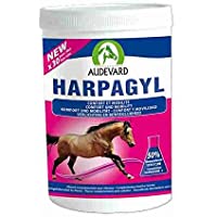LABORATOIRES AUDEVARD 920-1597 Harpagyl 450G Audevard